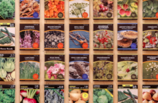 What Why How We Eat