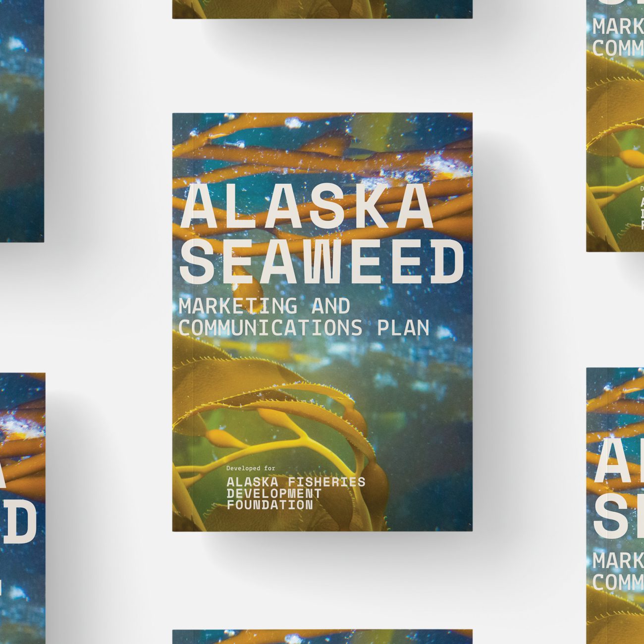 Seaweed Report